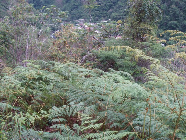 P1010254.JPG