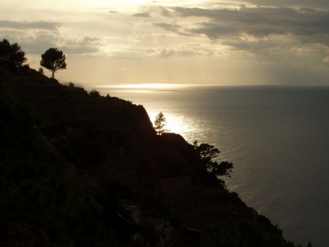P1010341.JPG