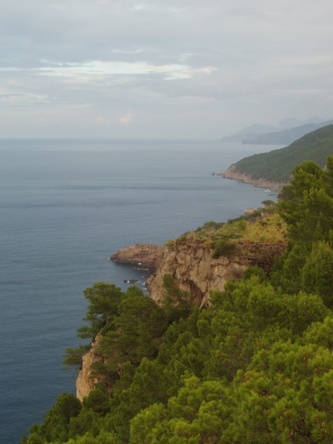 P1010352.JPG
