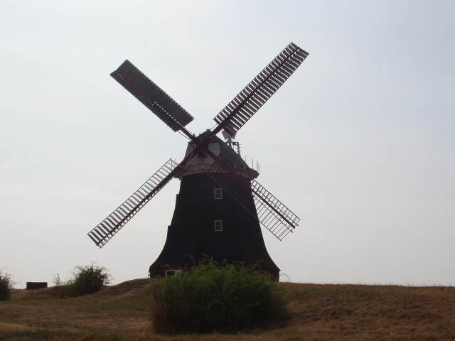 p5100200.jpg