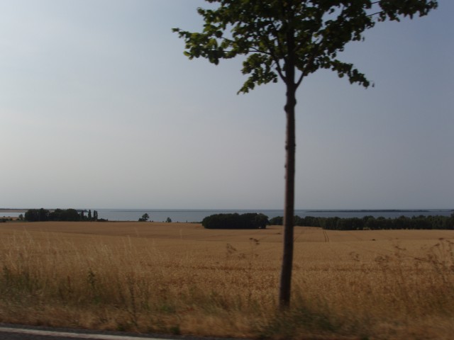 p5100201.jpg